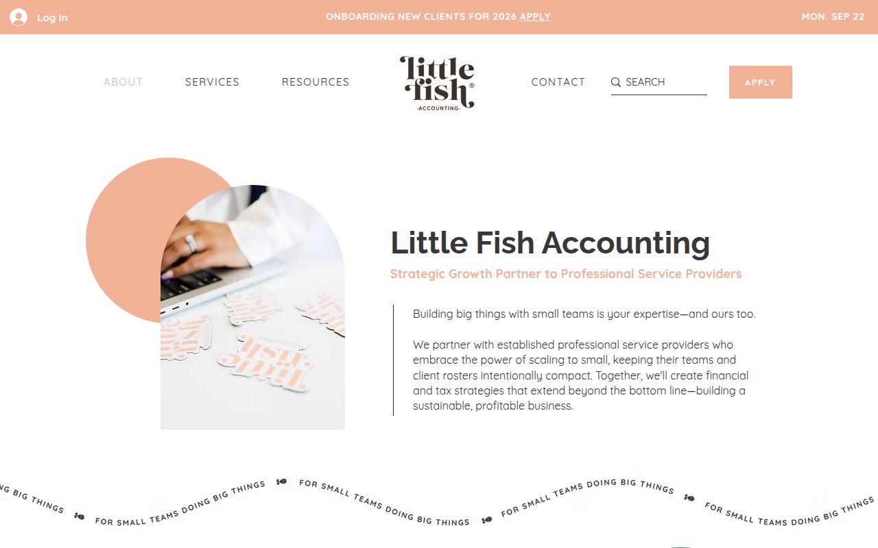 Little Fish Accounting about page naming founder Keila with team of six and brand story