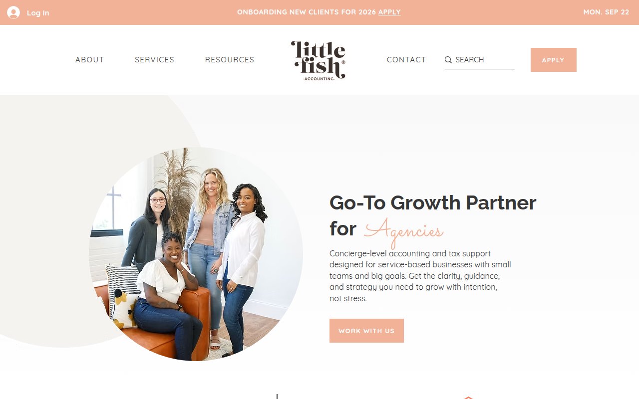 Little Fish Accounting homepage with warm peach design, real team group photo, and 'Apply' call to action