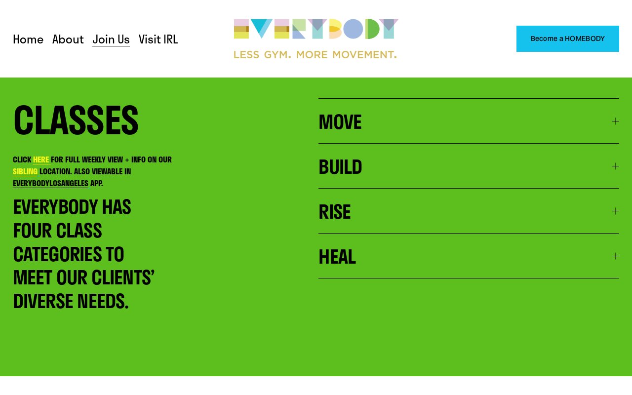 EVERYBODY classes page showing four class categories: MOVE, BUILD, RISE, HEAL