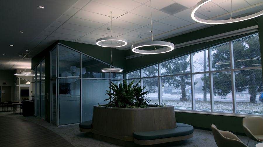 Glass Office With Greenery — 4K office Zoom background