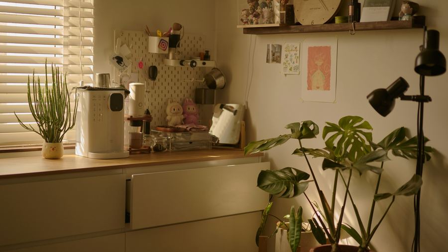 Warm Plant Nook — 4K office Zoom background