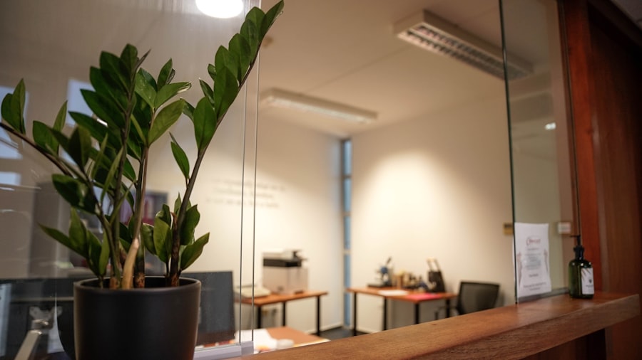 clean office corner with a leafy plant behind a softly blurred glass partition